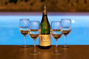 Prosecco Prosecco