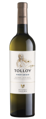 Tolloy - Pinot Grigio DOC
