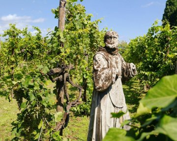 Socha ve vinici Torcello